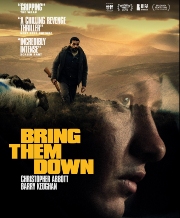 Bring Them Down poster