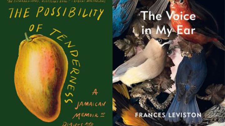 Book covers for 'The Possibility of Tenderness' and 'The Voice in My Ear'.