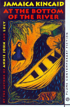 At the Bottom of the River book cover