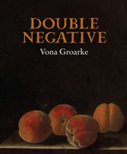 Double Negative book cover